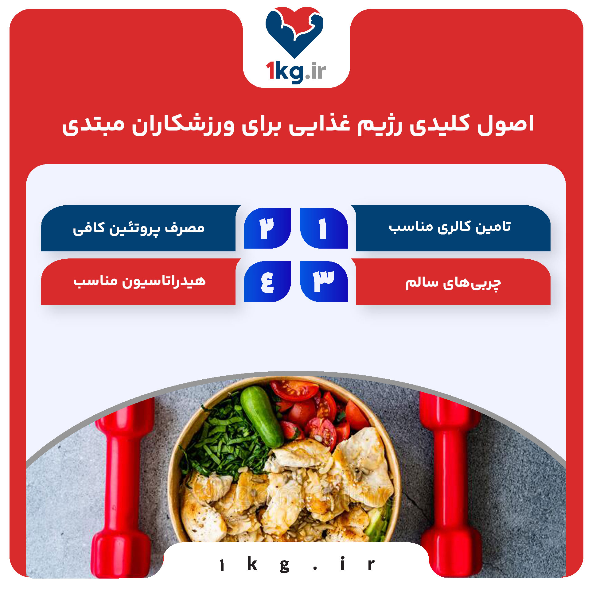 رژیم غذایی برای ورزشکاران مبتدی: راهنمای کامل برای شروعی موفق 27 اصول کلیدی رژیم غذایی برای ورزشکاران مبتدی