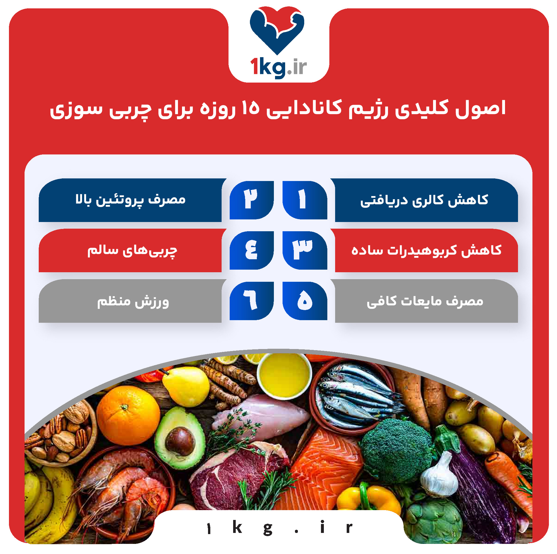 رژیم کانادایی ۱۵ روزه برای چربی سوزی: راهنمای جامع و کامل 27 اصول کلیدی رژیم کانادایی ۱۵ روزه برای چربی سوزی