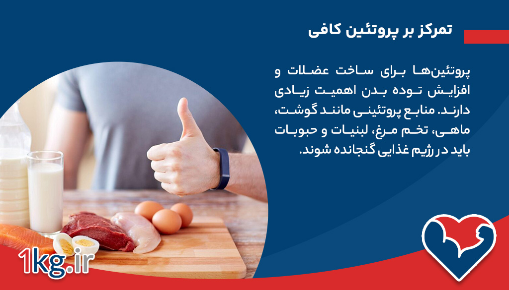 افزایش وزن برای مردان لاغر: راهنمای جامع برای رسیدن به وزن ایدهآل و سلامت کامل 27 تمرکز بر پروتئین کافی