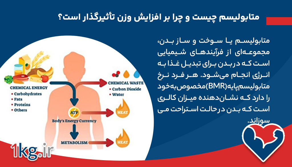 افزایش وزن برای افراد با متابولیسم بالا: راهکارهای جامع و علمی 26 متابولیسم چیست و چرا بر افزایش وزن تأثیرگذار است؟