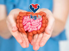 سلامت روده برای کاهش وزن: کلید پنهان موفقیت در کاهش وزن