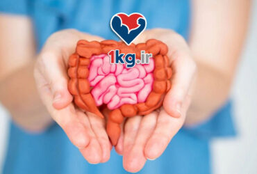 سلامت روده برای کاهش وزن: کلید پنهان موفقیت در کاهش وزن 46 سلامت روده برای کاهش وزن: کلید پنهان موفقیت در کاهش وزن