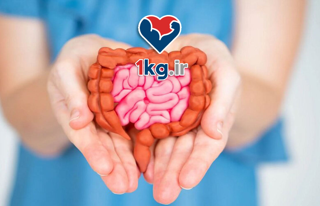 سلامت روده برای کاهش وزن: کلید پنهان موفقیت در کاهش وزن