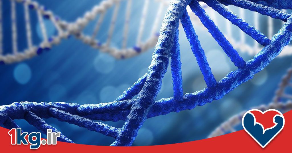 لاغری با افزایش میتوکندری: راهکاری علمی برای کاهش وزن پایدار 28 لاغری با افزایش میتوکندری: راهکاری علمی برای کاهش وزن پایدار