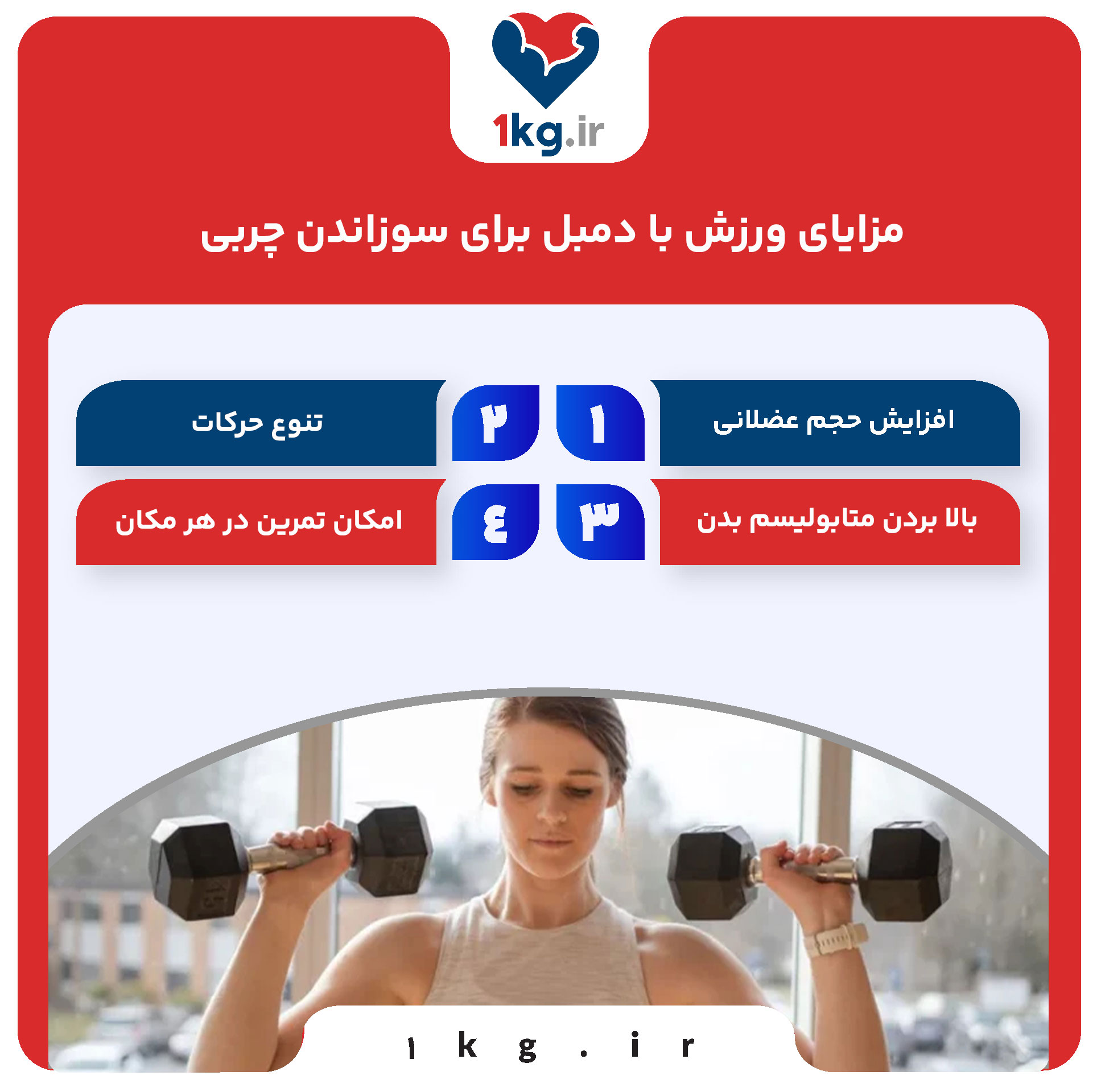 ورزش با دمبل برای سوزاندن چربی+0 تا 100 موضوعات طلایی 27 مزایای ورزش با دمبل برای سوزاندن چربی