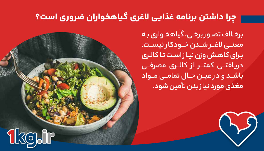 چرا داشتن برنامه غذایی لاغری گیاهخواران ضروری است؟