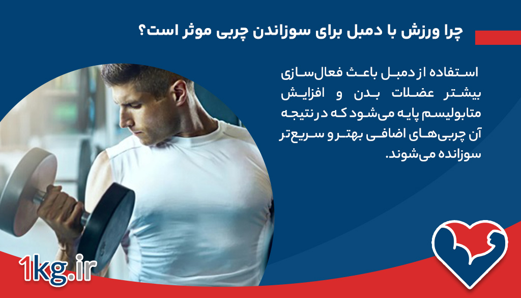 ورزش با دمبل برای سوزاندن چربی+0 تا 100 موضوعات طلایی 26 چرا ورزش با دمبل برای سوزاندن چربی موثر است؟