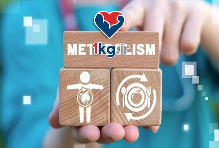 متابولیسم سازی تدریجی+ موارد 100% کلیدی 51 متابولیسم سازی تدریجی+ موارد 100% کلیدی