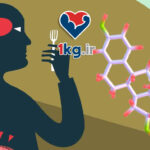 کاهش وزن با تنظیم چرخه گرسنگی-سیری؛ علمی، ساده و پایدار