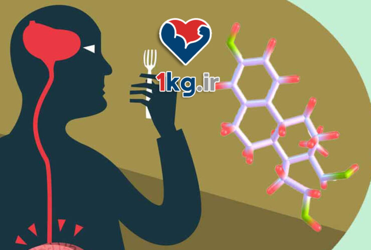 کاهش وزن با تنظیم چرخه گرسنگی-سیری؛ علمی، ساده و پایدار 45 کاهش وزن با تنظیم چرخه گرسنگی-سیری؛ علمی، ساده و پایدار