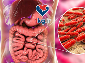 لاغری با تنظیم میکروبیوم روده: کلید کاهش وزن سالم و پایدار 41 لاغری با تنظیم میکروبیوم روده: کلید کاهش وزن سالم و پایدار