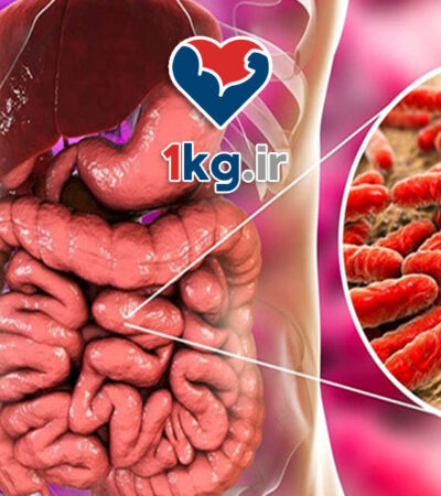 لاغری با تنظیم میکروبیوم روده: کلید کاهش وزن سالم و پایدار