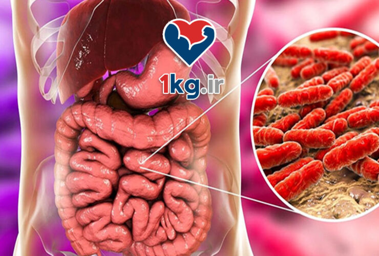 لاغری با تنظیم میکروبیوم روده: کلید کاهش وزن سالم و پایدار 51 لاغری با تنظیم میکروبیوم روده: کلید کاهش وزن سالم و پایدار