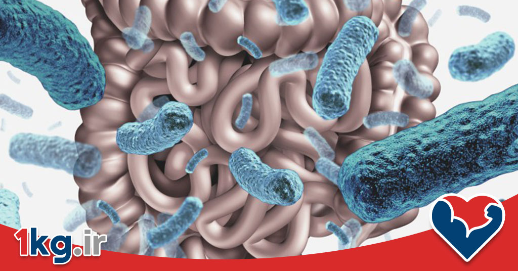 لاغری با تنظیم میکروبیوم روده: کلید کاهش وزن سالم و پایدار 28 لاغری با تنظیم میکروبیوم روده: کلید کاهش وزن سالم و پایدار