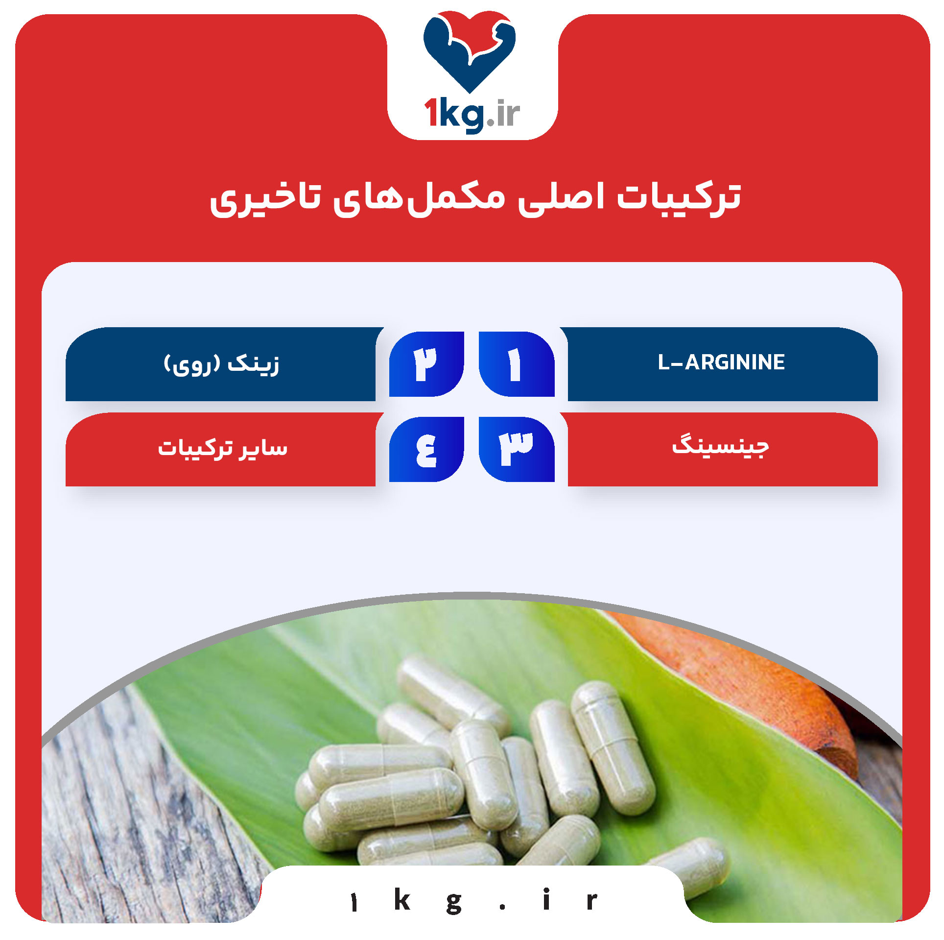 ترکیبات اصلی مکمل‌های تاخیری