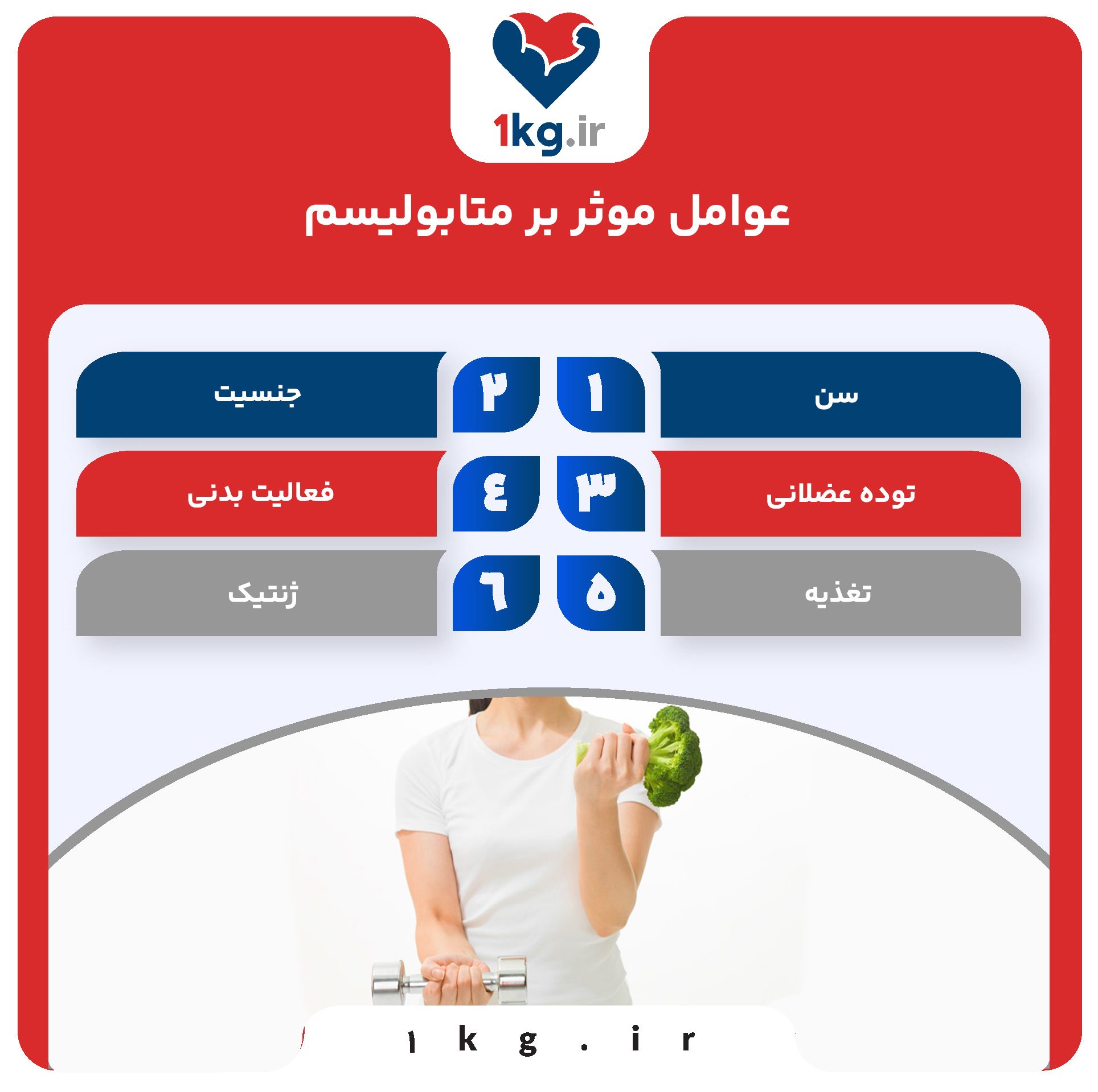 تنظیم متابولیسم برای کاهش وزن: راهکارهای علمی و عملی 27 عوامل موثر بر متابولیسم