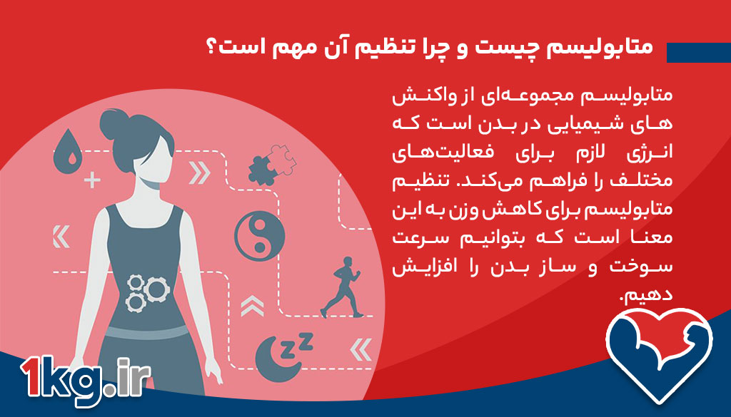 تنظیم متابولیسم برای کاهش وزن: راهکارهای علمی و عملی 26 متابولیسم چیست و چرا تنظیم آن مهم است؟