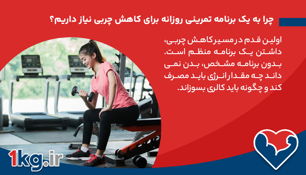 چرا به یک برنامه تمرینی روزانه برای کاهش چربی نیاز داریم؟