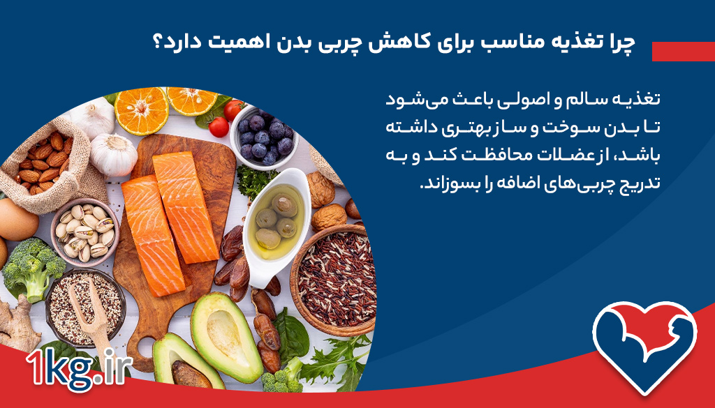 چرا تغذیه مناسب برای کاهش چربی بدن اهمیت دارد؟