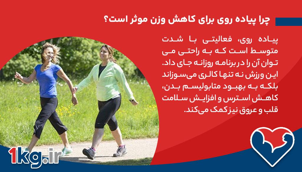 پیاده روی برای کاهش وزن: راهی ساده و مؤثر برای تناسب اندام و سلامتی 26 چرا پیاده روی برای کاهش وزن موثر است؟