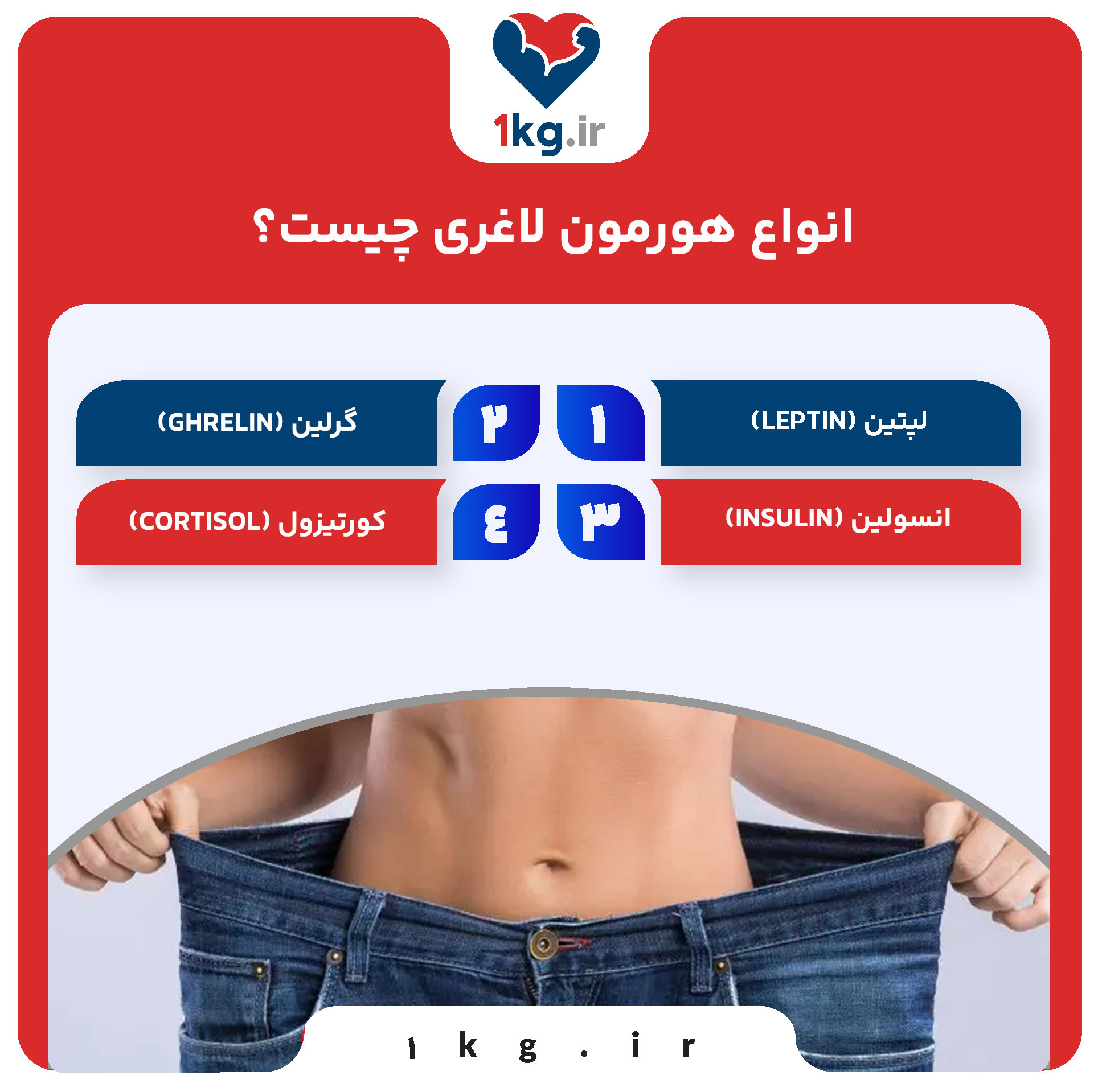 انواع هورمون لاغری چیست؟