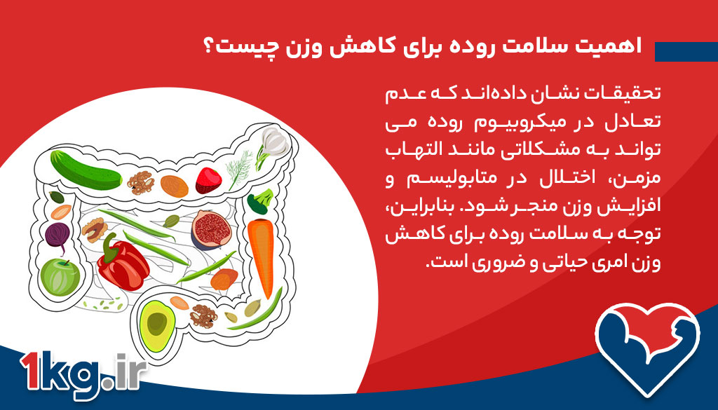 اهمیت سلامت روده برای کاهش وزن چیست؟