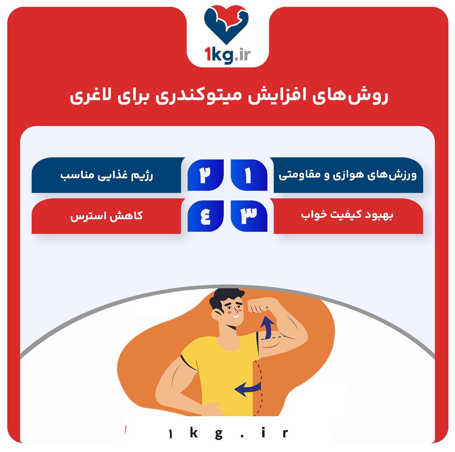 روش‌های افزایش میتوکندری برای لاغری