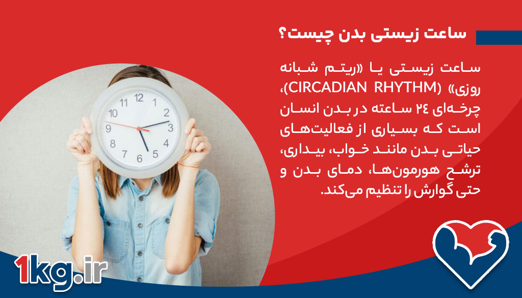 رژیم ساعت زیستی بدن: هماهنگی با طبیعت برای کاهش وزن و سلامت پایدار 26 ساعت زیستی بدن چیست؟