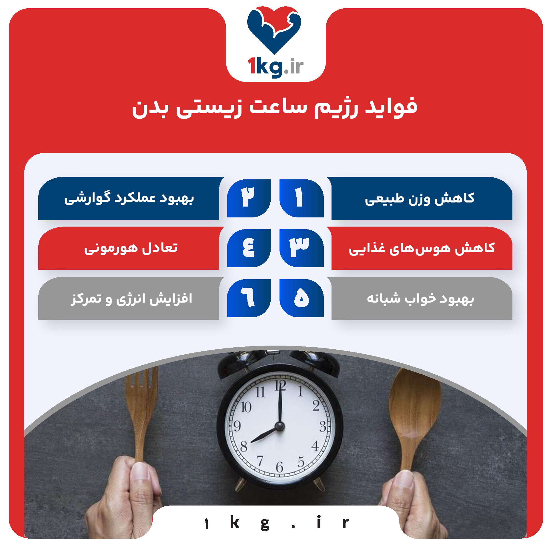 رژیم ساعت زیستی بدن: هماهنگی با طبیعت برای کاهش وزن و سلامت پایدار 28 فواید رژیم ساعت زیستی بدن