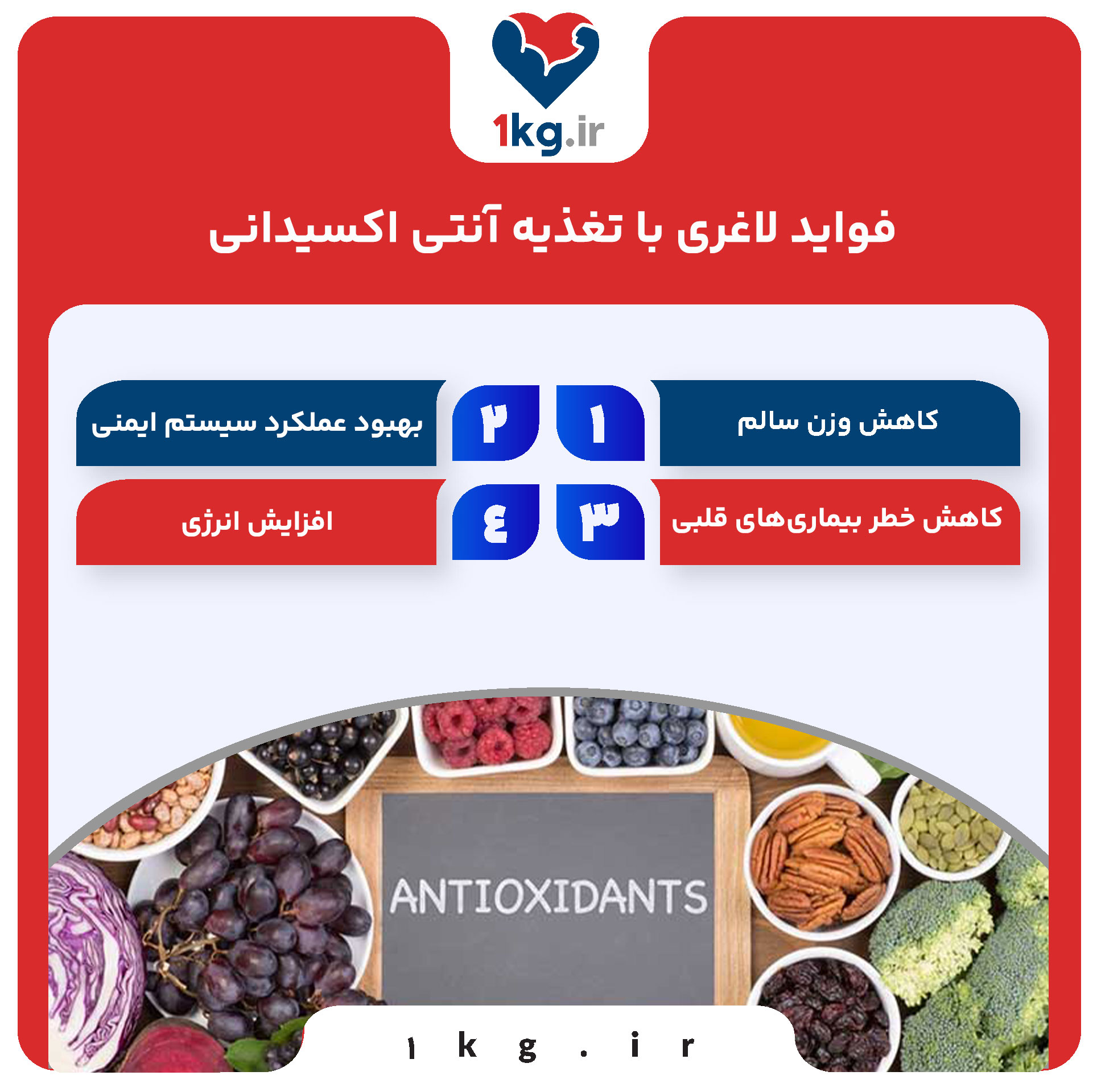 لاغری با تغذیه آنتی اکسیدانی: راهکاری علمی برای کاهش وزن و ارتقای سلامت 28 فواید لاغری با تغذیه آنتی اکسیدانی