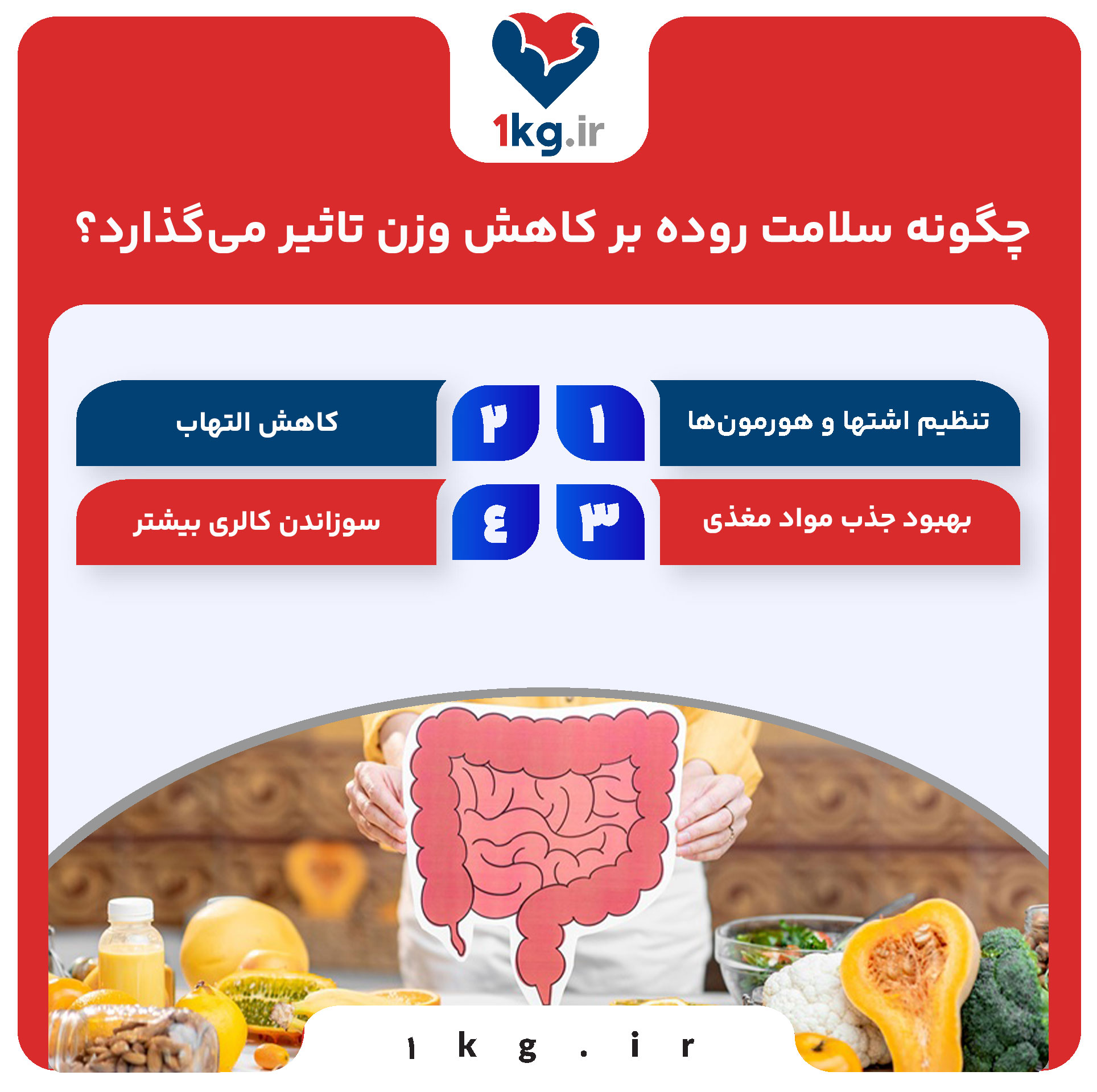 چگونه سلامت روده بر کاهش وزن تاثیر می‌گذارد؟