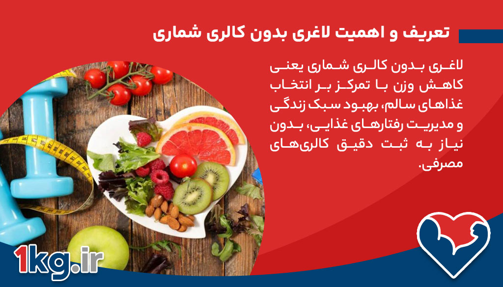 0 تا 100 لاغری بدون کالری شماری 26 تعریف و اهمیت لاغری بدون کالری شماری