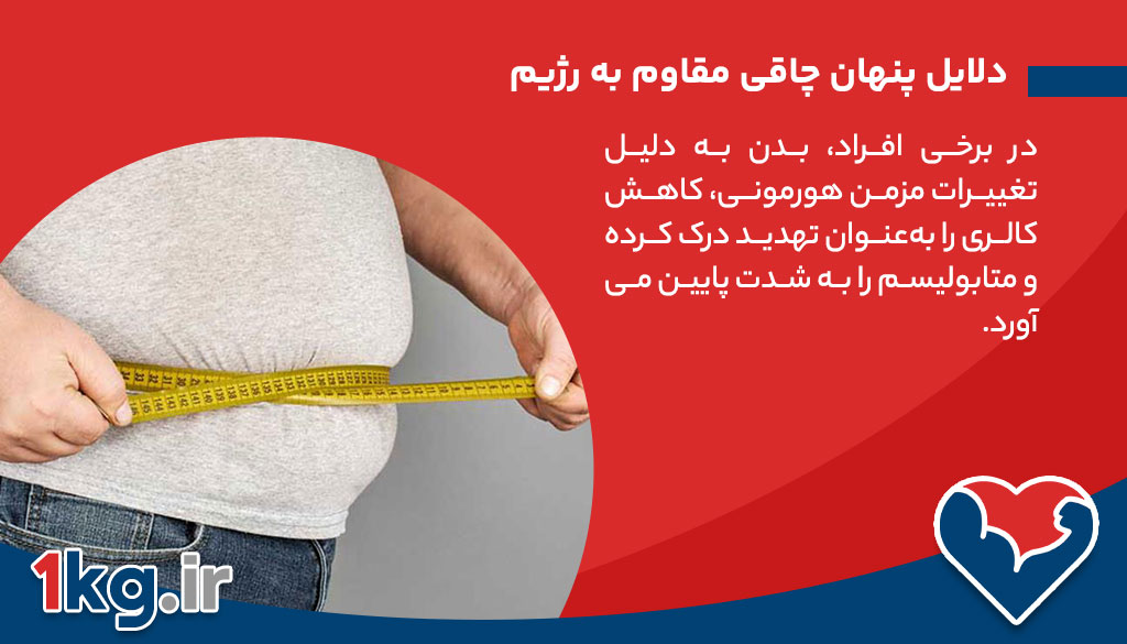 دلایل چاقی مقاوم به رژیم چیست؟ 26 دلایل پنهان چاقی مقاوم به رژیم