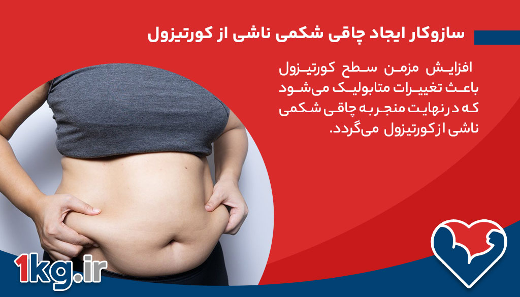 چاقی شکمی ناشی از کورتیزول 26 سازوکار ایجاد چاقی شکمی ناشی از کورتیزول