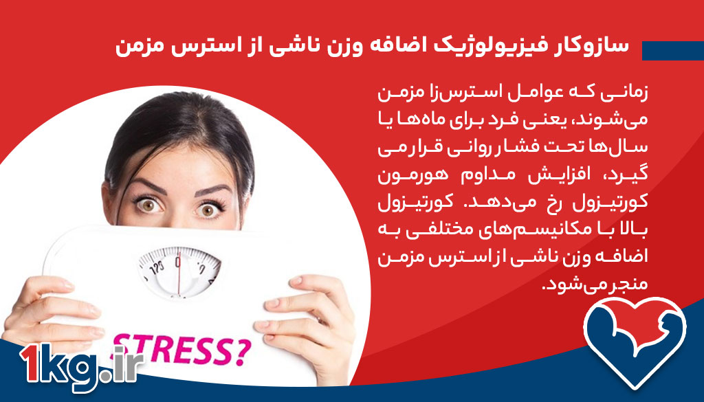 اضافه وزن ناشی از استرس مزمن: تحلیل جامع، علمی و کاربردی 26 سازوکار فیزیولوژیک اضافه وزن ناشی از استرس مزمن