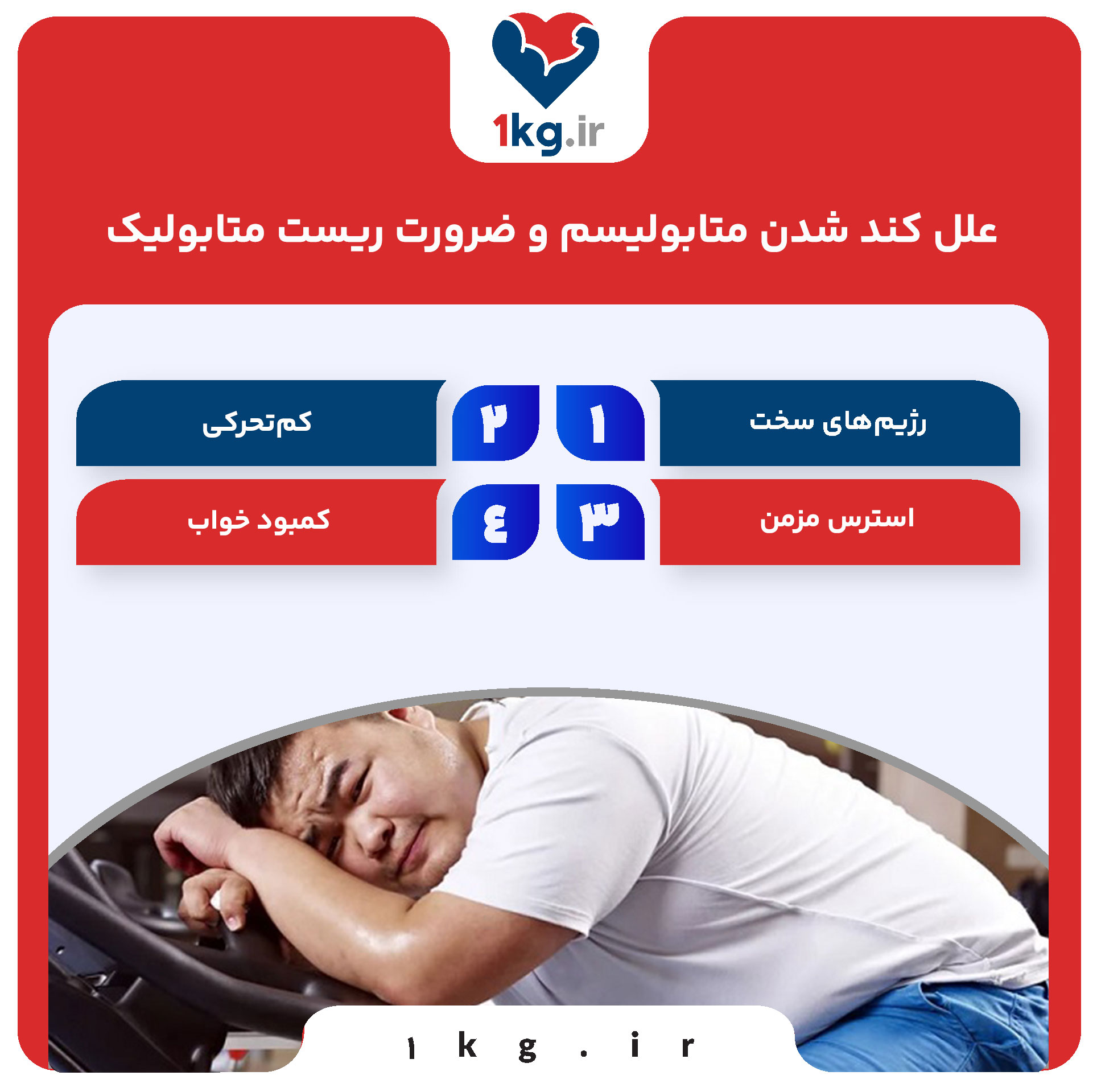 علل کند شدن متابولیسم و ضرورت ریست متابولیک