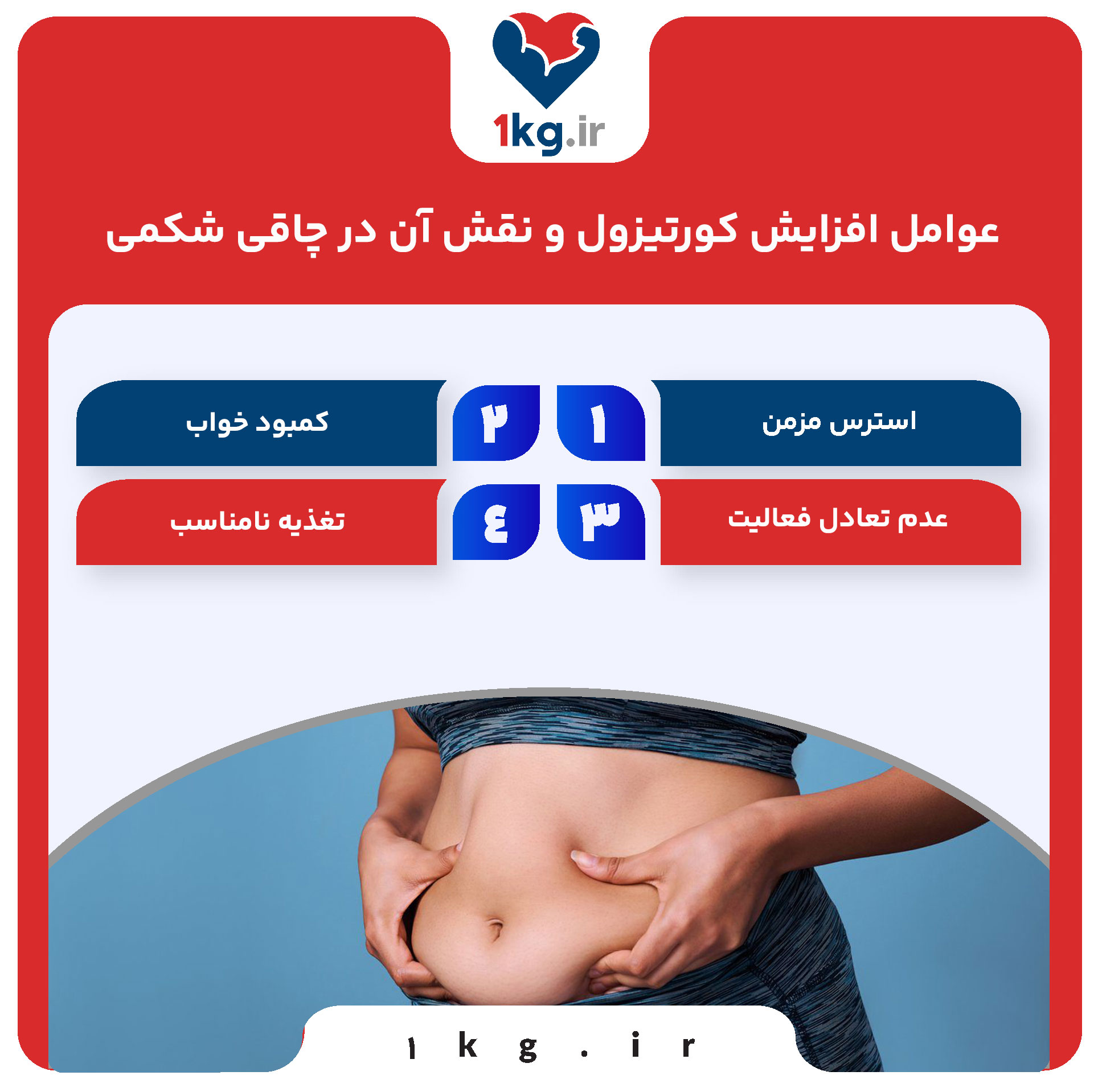 چاقی شکمی ناشی از کورتیزول 27 عوامل افزایش کورتیزول و نقش آن در چاقی شکمی