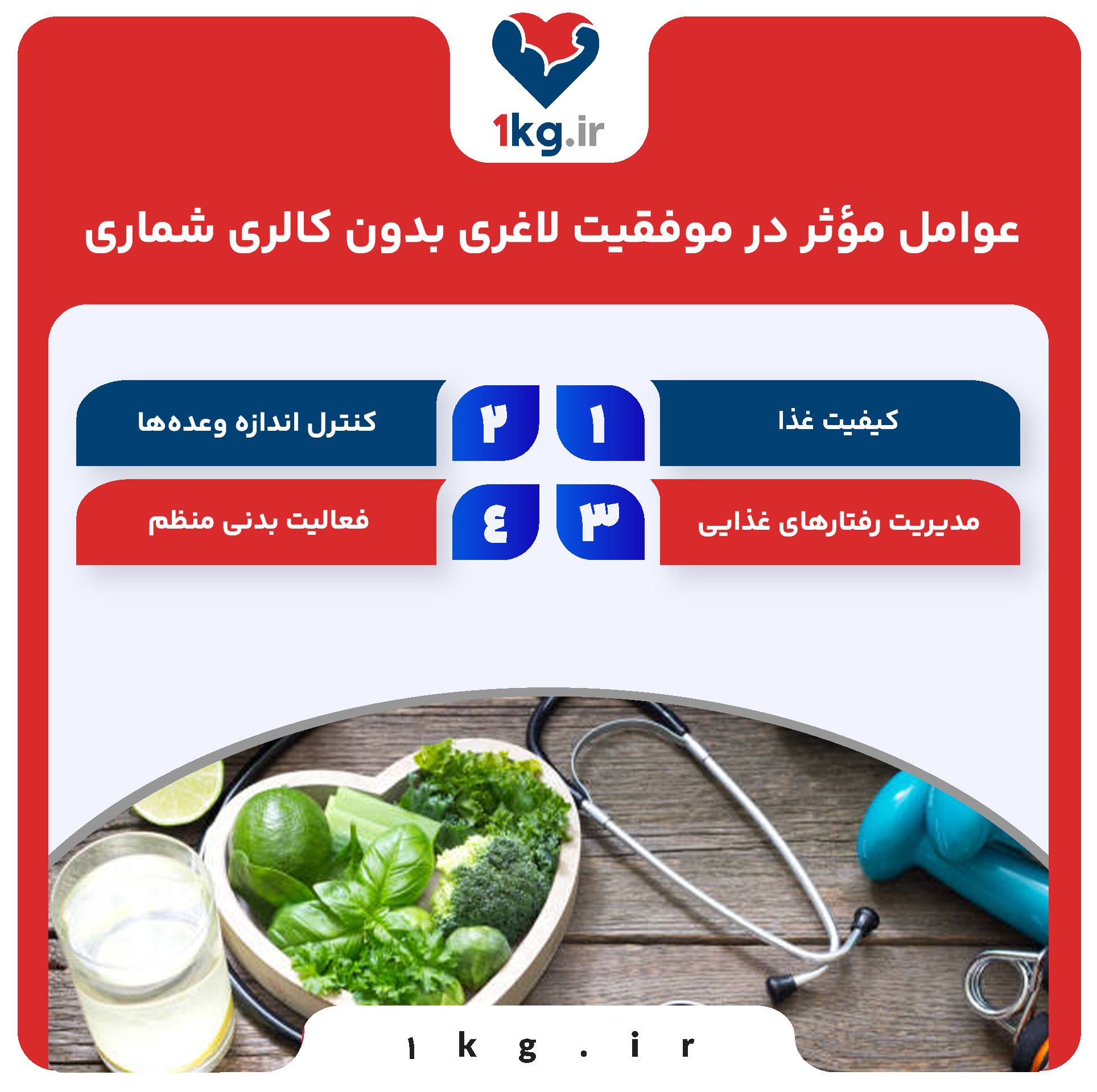 0 تا 100 لاغری بدون کالری شماری 27 عوامل مؤثر در موفقیت لاغری بدون کالری شماری