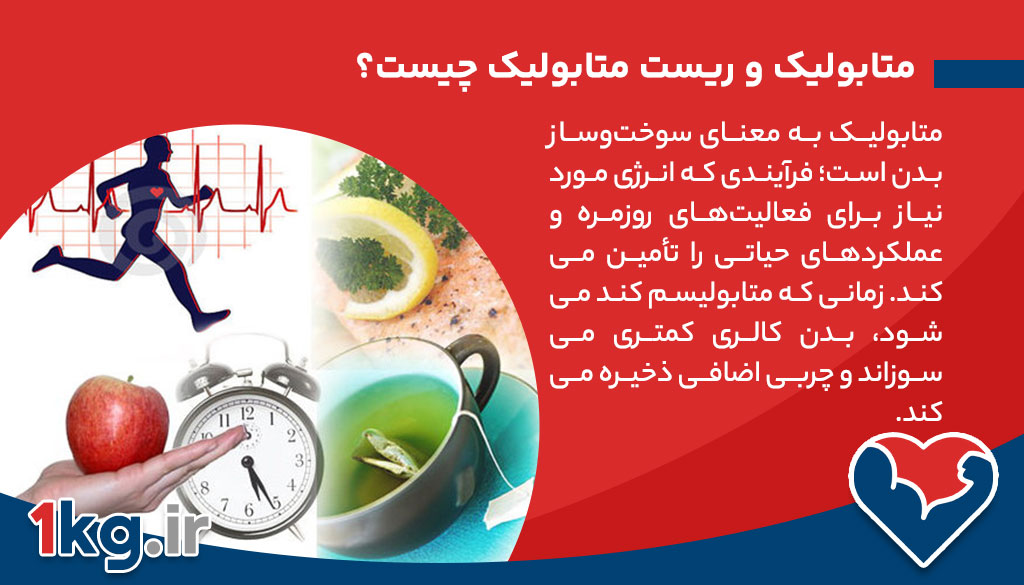 متابولیک و ریست متابولیک چیست؟