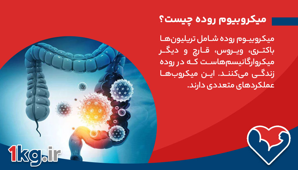 لاغری با تنظیم میکروبیوم روده: کلید کاهش وزن سالم و پایدار 26 میکروبیوم روده چیست؟