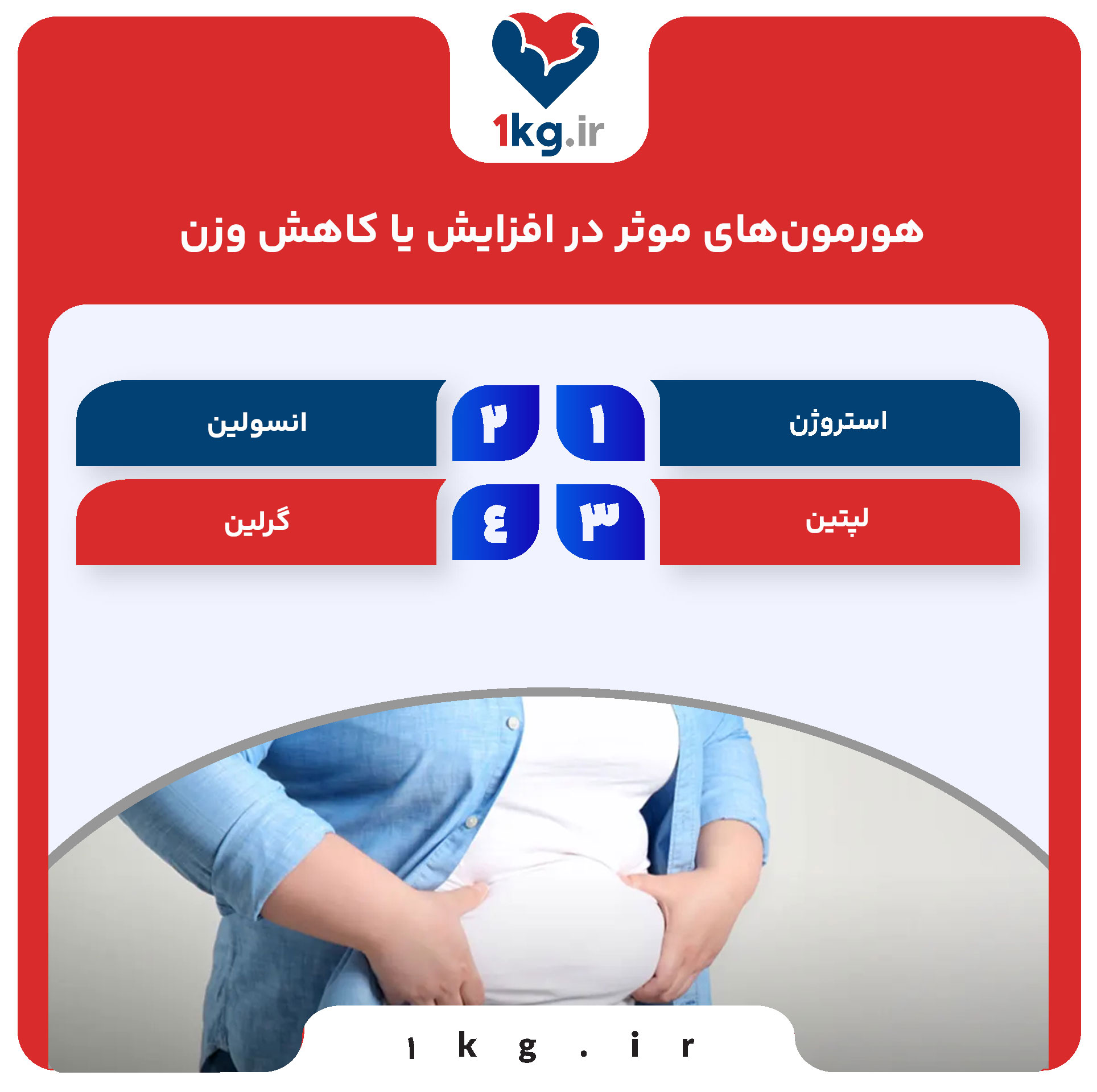 نقش هورمون‌ها در افزایش وزن