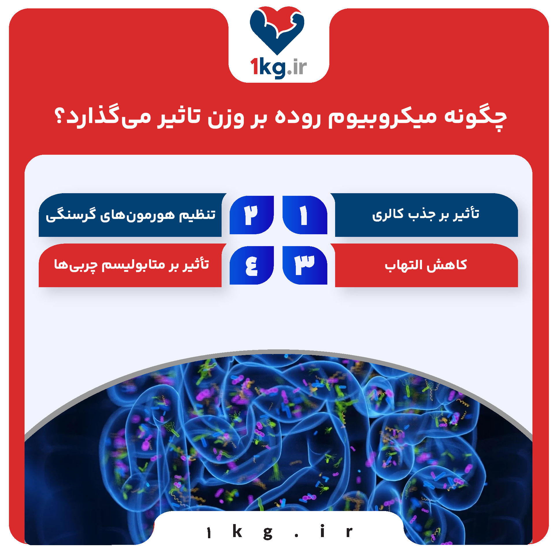 چگونه میکروبیوم روده بر وزن تاثیر می‌گذارد؟