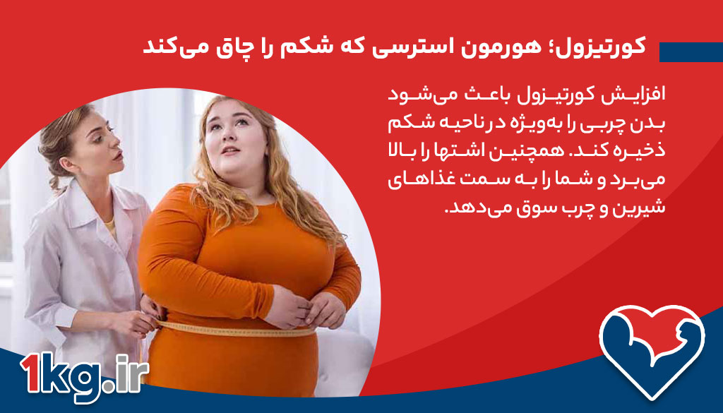 کورتیزول؛ هورمون استرسی که شکم را چاق می‌کند