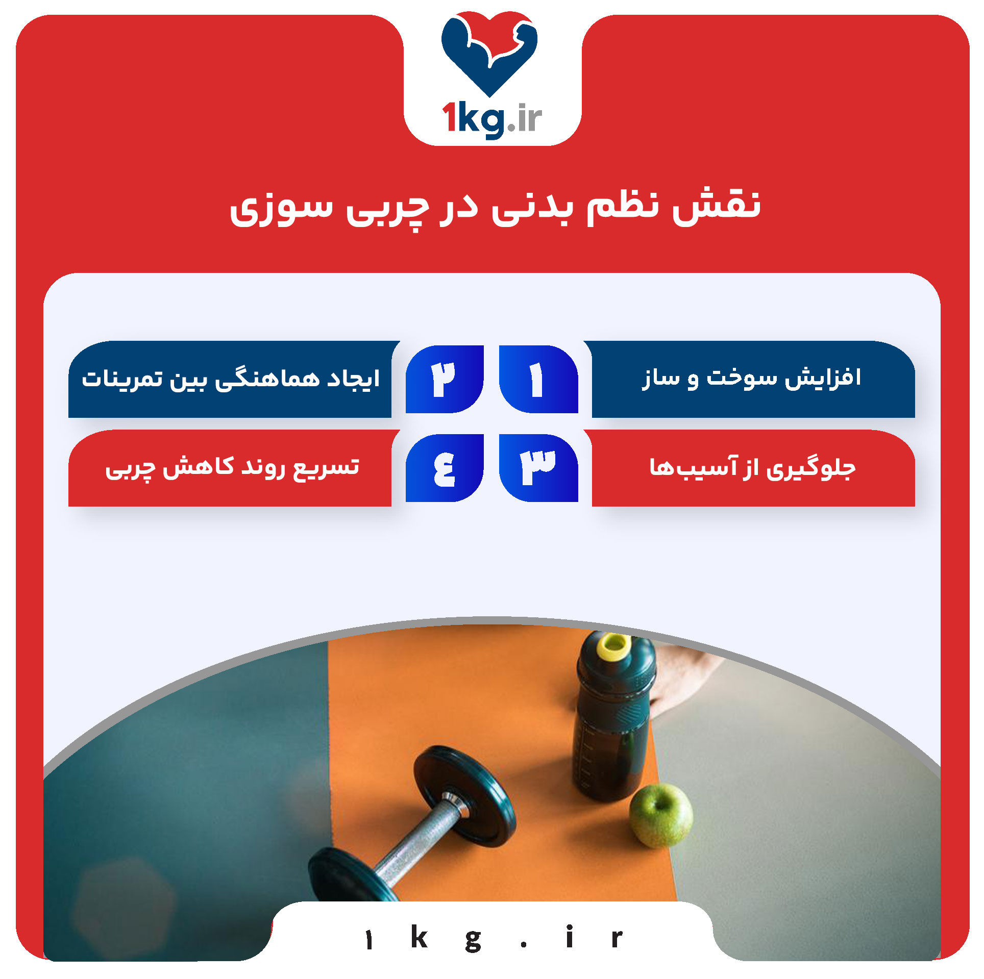 چربی سوزی با نظم ذهنی و بدنی 27 نقش نظم بدنی در چربی سوزی