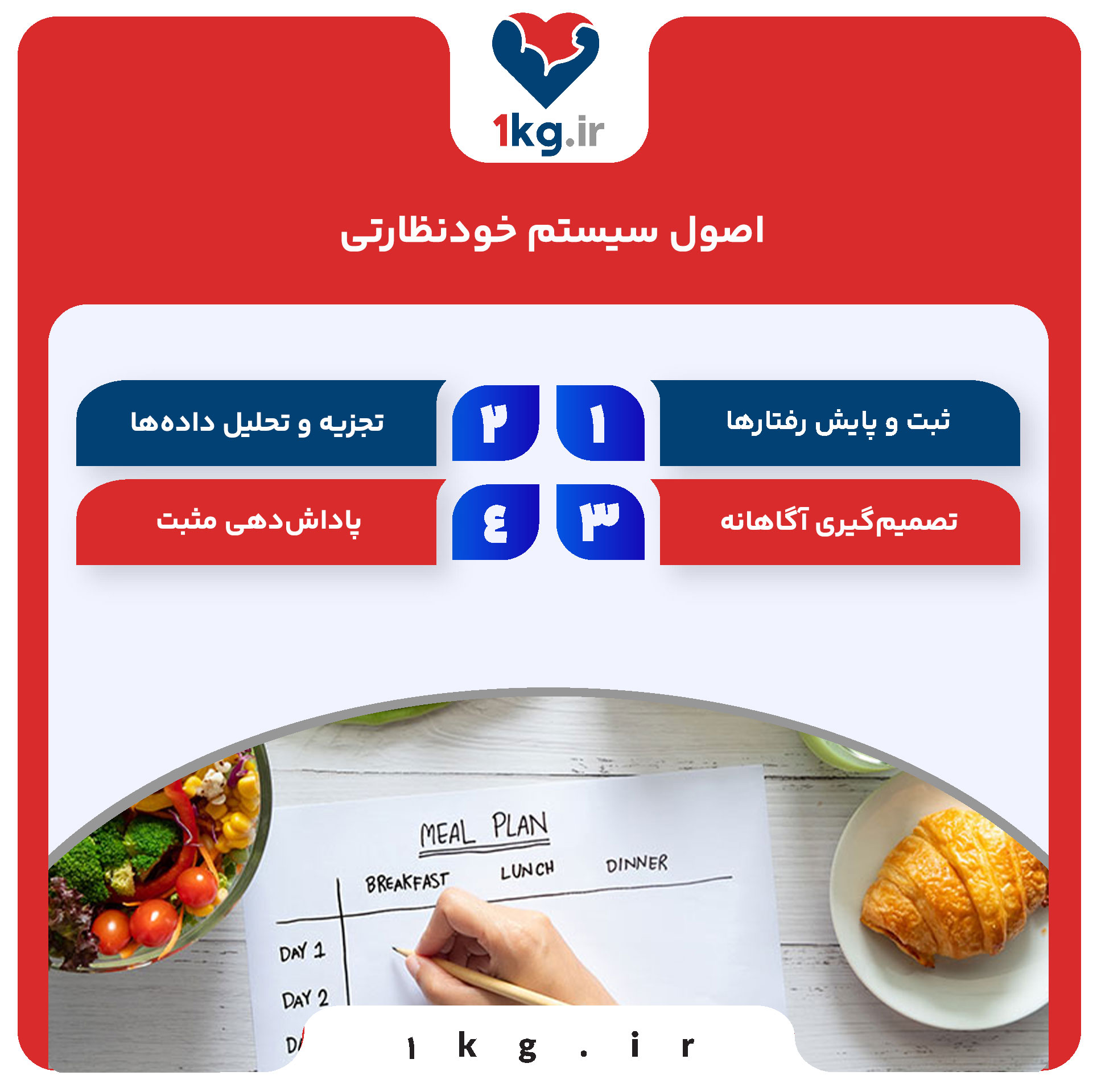 اصول سیستم خودنظارتی