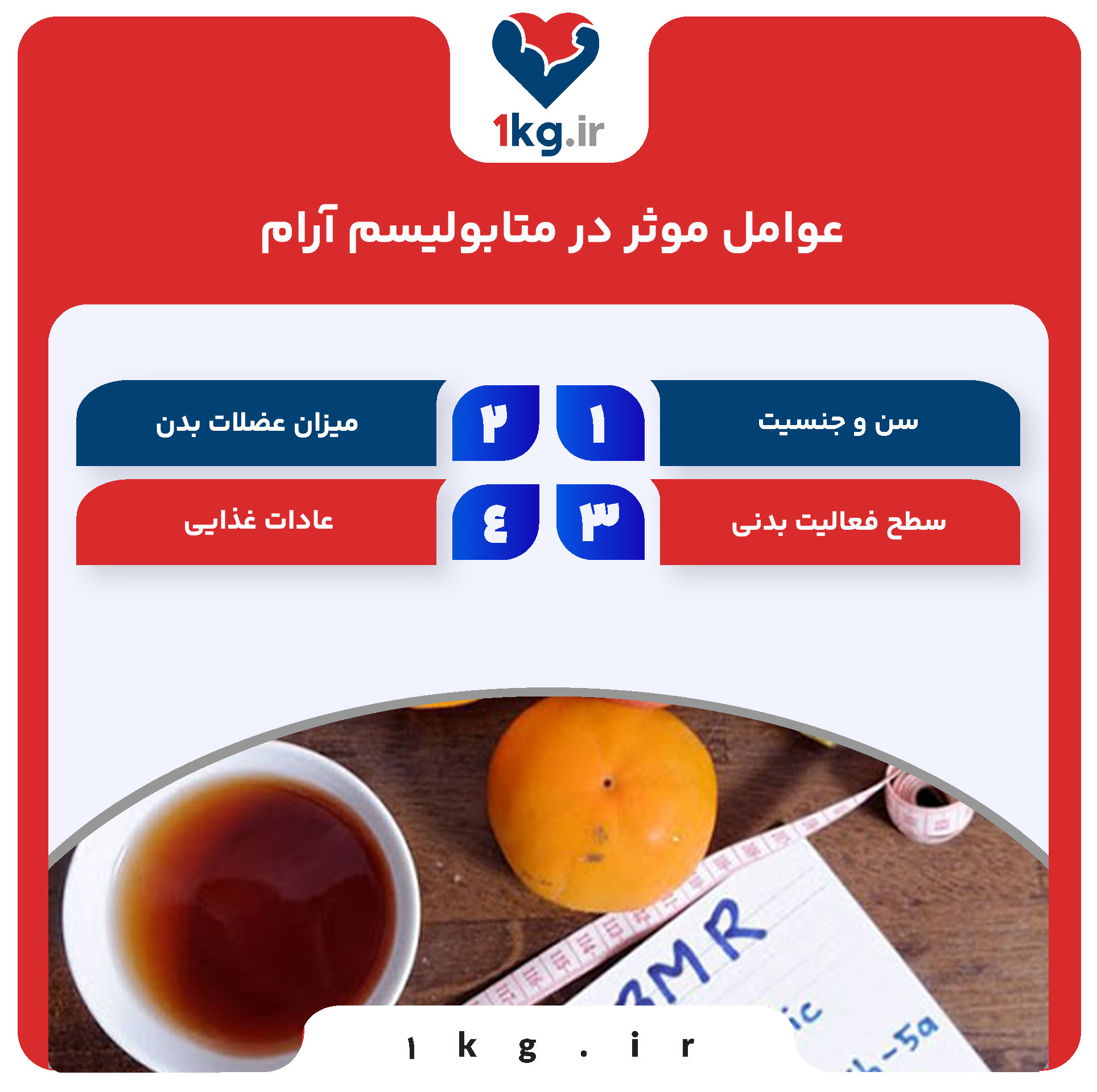 عوامل موثر در متابولیسم آرام