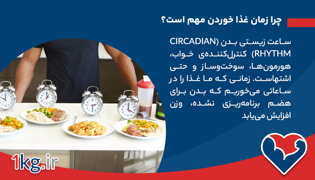 لاغری با مدیریت زمان خوردن: رویکردی علمی، انعطافپذیر و پایدار برای کاهش وزن 26 چرا زمان غذا خوردن مهم است؟